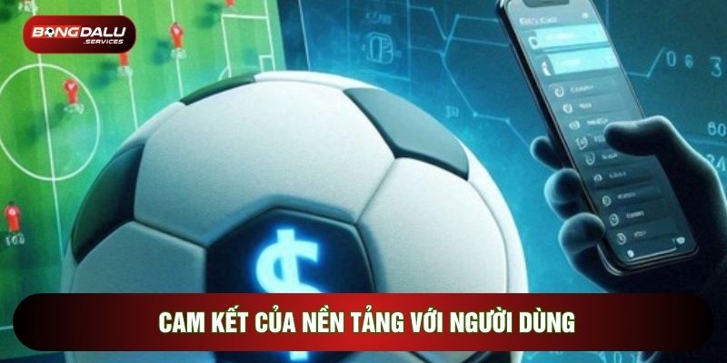 Cam kết giữa nền tảng với người dùng