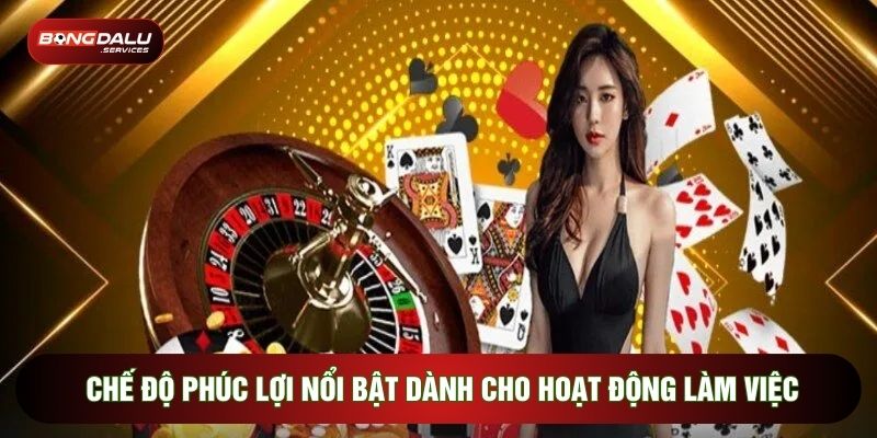 Chế độ phúc lợi nổi bật dành cho hoạt động làm việc