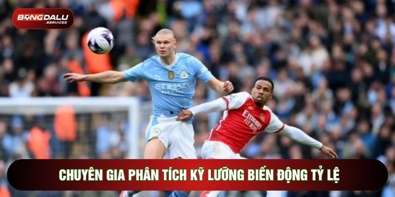 Chuyên gia phân tích kỹ lưỡng biến động tỷ lệ