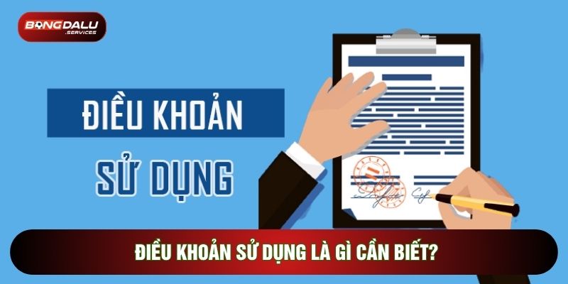 Điều khoản sử dụng là gì cần biết?