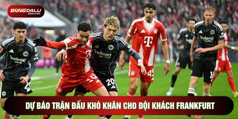 Dự báo trận đấu khó khăn cho đội khách Frankfurt