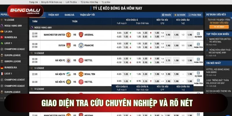 Giao diện tra cứu chuyên nghiệp và rõ nét