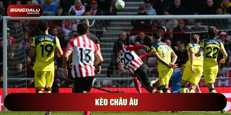 Kèo Châu Âu Và Bí Quyết Đọc Vị Bảng Tỷ Lệ Cược 1x2