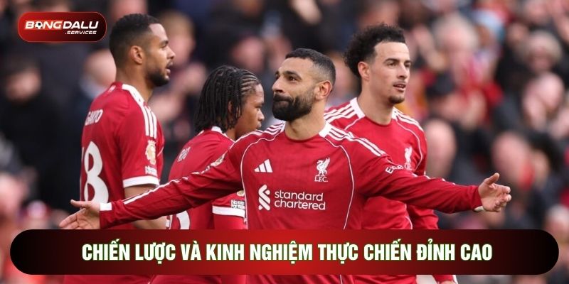 Chiến lược và kinh nghiệm thực chiến đỉnh cao