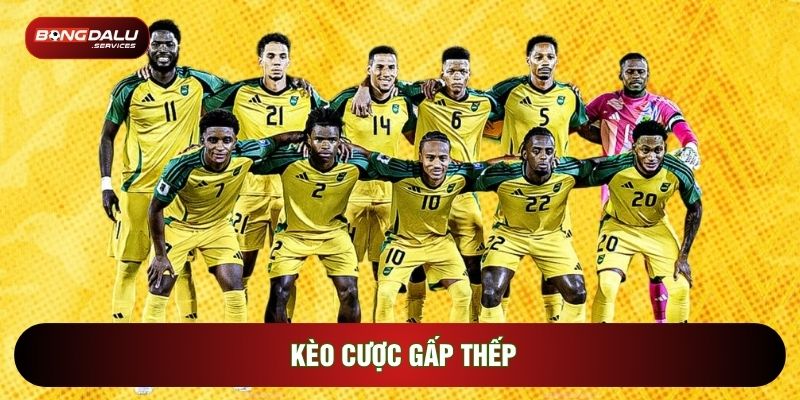 Kèo Cược Gấp Thếp Và Nghệ Thuật Quản Trị Vốn Thông Minh