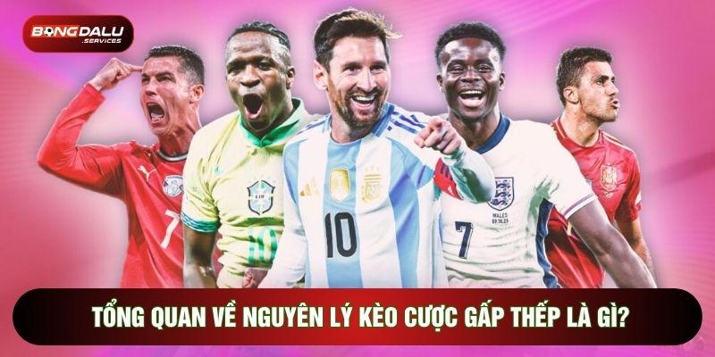 Tổng quan về nguyên lý kèo cược gấp thếp là gì?