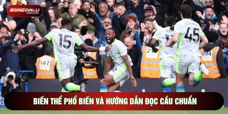 Biến thể phổ biến và hướng dẫn đọc cầu chuẩn