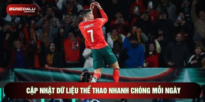 Cập nhật dữ liệu thể thao nhanh chóng mỗi ngày