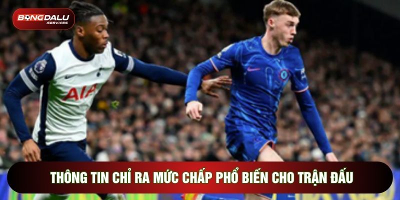 Thông tin chỉ ra mức chấp phổ biến cho trận đấu