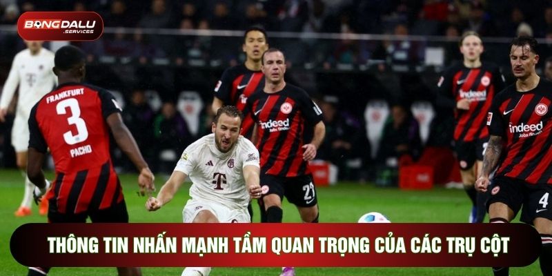 Thông tin nhấn mạnh tầm quan trọng của các trụ cột