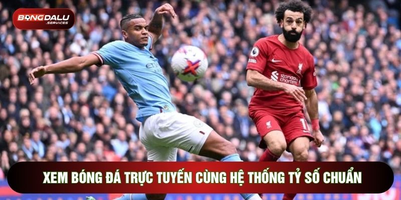 Xem bóng đá trực tuyến cùng hệ thống tỷ số chuẩn