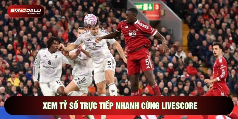 Xem tỷ số trực tiếp nhanh cùng Livescore