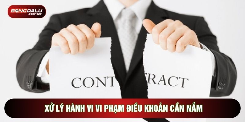 Xử lý hành vi vi phạm điều khoản cần nắm